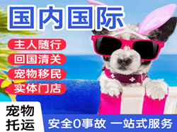 海口空运公司国际宠物托运 【国